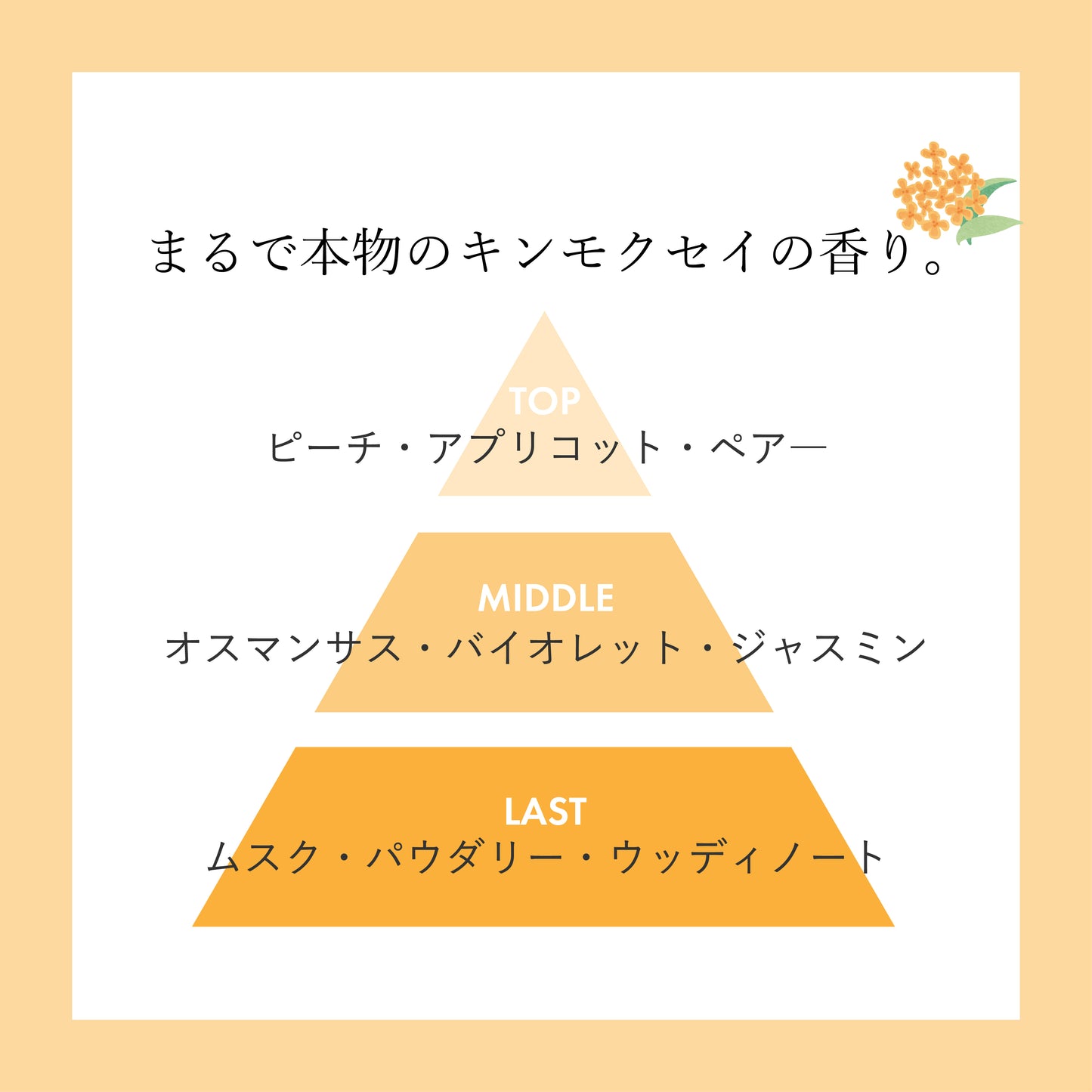 プロミルオイル キンモクセイ