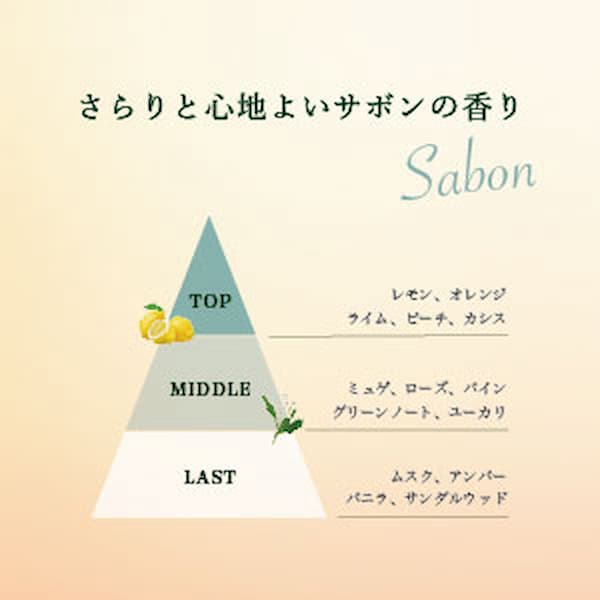 プロミルフラッピーヘア ドライシャンプー