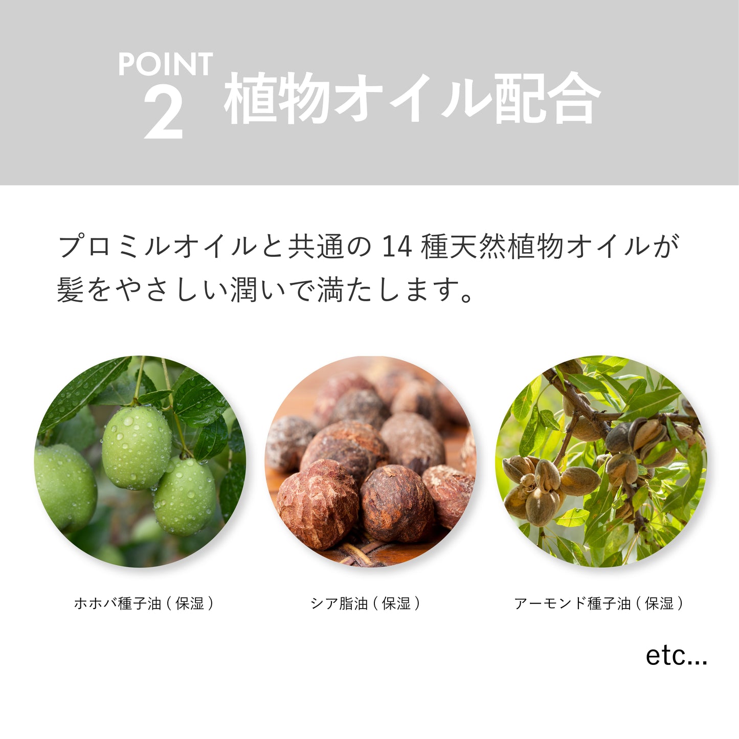 プロミルカルテ ヘアリペアオイル