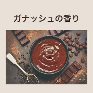 プロミルオイルスモーキーチョコ
