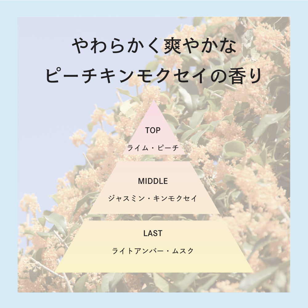 プロミルトリートメント